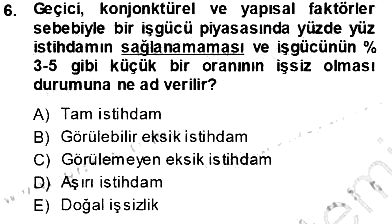 Sosyal Politika 2013-2014 Tek Ders Sınavı - 6. soru