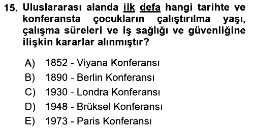 Sosyal Politika 2018-2019 Yaz Okulu Sınavı - 15. soru