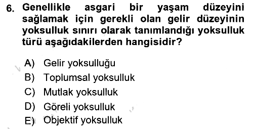 Sosyal Politika 2021-2022 Yaz Okulu Sınavı - 6. soru