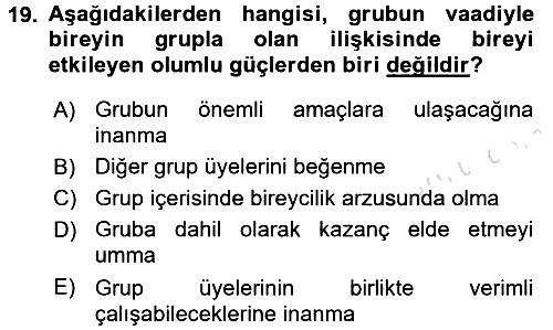 Sosyal Psikoloji 1 2017-2018 Ara Sınav - 19. soru