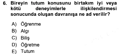 Sosyal Psikoloji 1 2017-2018 Dönem Sonu Sınavı - 6. soru