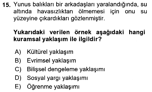Sosyal Psikoloji 1 2023-2024 Dönem Sonu Sınavı - 15. soru