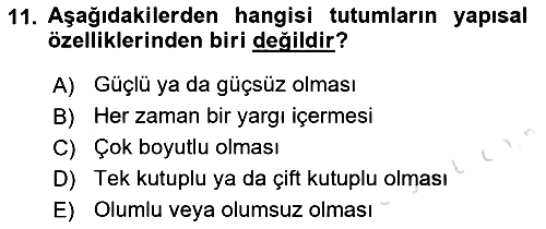 Sosyal Psikoloji 1 2022-2023 Yaz Okulu Sınavı - 11. soru