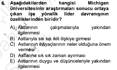 Sosyal Psikoloji 2 2012-2013 Ara Sınav - 6. soru