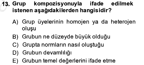 Sosyal Psikoloji 2 2013-2014 Ara Sınav - 13. soru