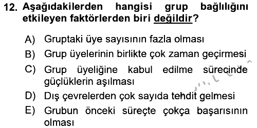 Sosyal Psikoloji 2 2016-2017 Ara Sınav - 12. soru