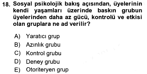 Sosyal Psikoloji 2 2017-2018 Ara Sınav - 18. soru