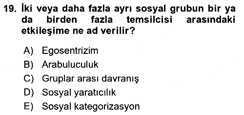 Sosyal Psikoloji 2 2018-2019 Ara Sınav - 19. soru