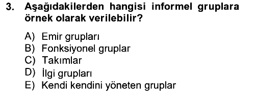 Sosyal Psikoloji 2 2012-2013 Dönem Sonu Sınavı - 3. soru