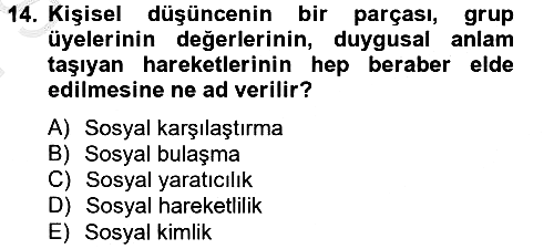 Sosyal Psikoloji 2 2012-2013 Dönem Sonu Sınavı - 14. soru