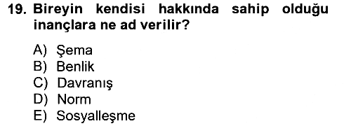 Sosyal Psikoloji 2 2012-2013 Dönem Sonu Sınavı - 19. soru