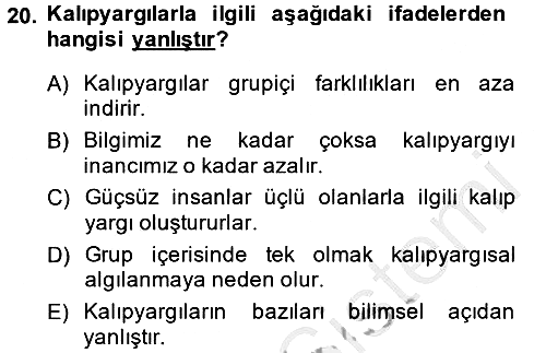 Sosyal Psikoloji 2 2014-2015 Dönem Sonu Sınavı - 20. soru