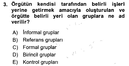 Sosyal Psikoloji 2 2016-2017 Dönem Sonu Sınavı - 3. soru