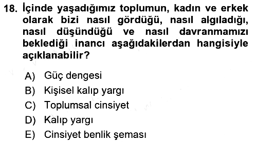 Sosyal Psikoloji 2 2017-2018 Dönem Sonu Sınavı - 18. soru