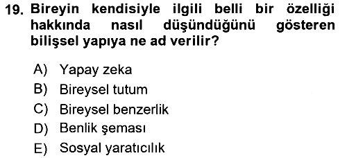 Sosyal Psikoloji 2 2017-2018 Dönem Sonu Sınavı - 19. soru