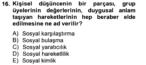 Sosyal Psikoloji 2 2014-2015 Tek Ders Sınavı - 16. soru