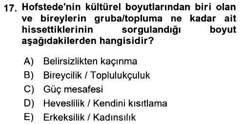 Sosyal Psikoloji 2 2021-2022 Yaz Okulu Sınavı - 17. soru