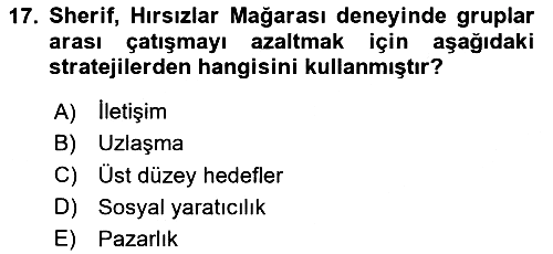 Sosyal Psikoloji 2 2024-2025 Ara Sınav - 17. soru