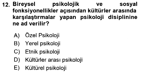 Sosyal Psikoloji 2 2024-2025 Dönem Sonu Sınavı - 12. soru