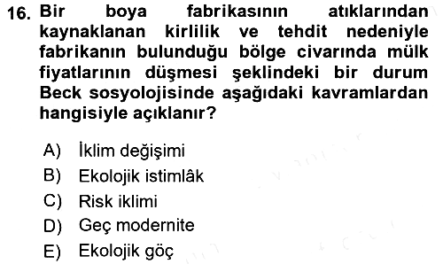 Sosyolojide Yakın Dönem Gelişmeler 2015-2016 Ara Sınav - 16. soru