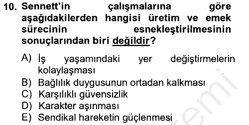 Sosyolojide Yakın Dönem Gelişmeler 2012-2013 Dönem Sonu Sınavı - 10. soru