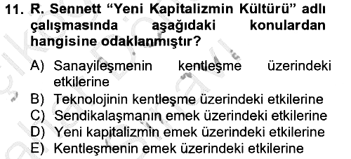 Sosyolojide Yakın Dönem Gelişmeler 2012-2013 Dönem Sonu Sınavı - 11. soru
