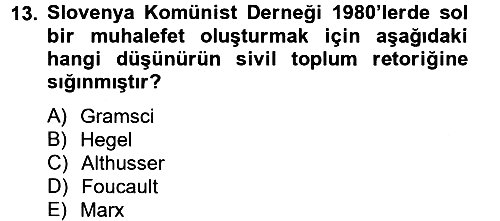 Sosyolojide Yakın Dönem Gelişmeler 2012-2013 Dönem Sonu Sınavı - 13. soru