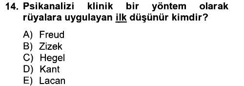 Sosyolojide Yakın Dönem Gelişmeler 2012-2013 Dönem Sonu Sınavı - 14. soru