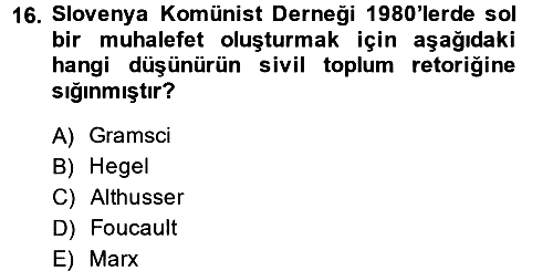 Sosyolojide Yakın Dönem Gelişmeler 2013-2014 Dönem Sonu Sınavı - 16. soru