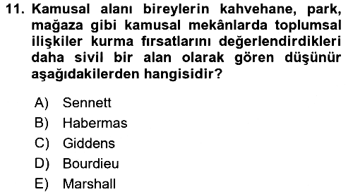 Sosyolojide Yakın Dönem Gelişmeler 2015-2016 Dönem Sonu Sınavı - 11. soru