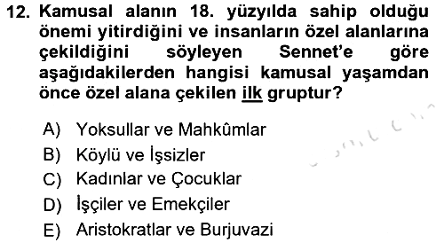 Sosyolojide Yakın Dönem Gelişmeler 2015-2016 Dönem Sonu Sınavı - 12. soru