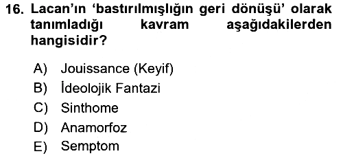 Sosyolojide Yakın Dönem Gelişmeler 2015-2016 Dönem Sonu Sınavı - 16. soru