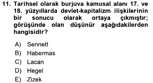 Sosyolojide Yakın Dönem Gelişmeler 2016-2017 Dönem Sonu Sınavı - 11. soru