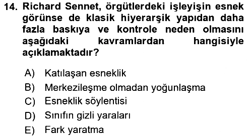 Sosyolojide Yakın Dönem Gelişmeler 2017-2018 Dönem Sonu Sınavı - 14. soru