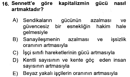 Sosyolojide Yakın Dönem Gelişmeler 2017-2018 Dönem Sonu Sınavı - 16. soru