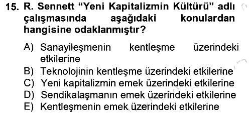 Sosyolojide Yakın Dönem Gelişmeler 2013-2014 Tek Ders Sınavı - 15. soru