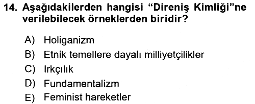 Sosyolojide Yakın Dönem Gelişmeler 2018-2019 Yaz Okulu Sınavı - 14. soru