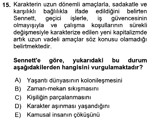 Sosyolojide Yakın Dönem Gelişmeler 2018-2019 Yaz Okulu Sınavı - 15. soru