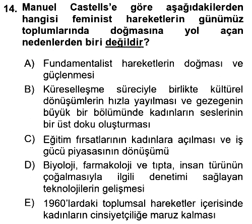 Sosyolojide Yakın Dönem Gelişmeler 2022-2023 Yaz Okulu Sınavı - 14. soru