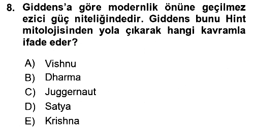 Sosyolojide Yakın Dönem Gelişmeler 2023-2024 Yaz Okulu Sınavı - 8. soru