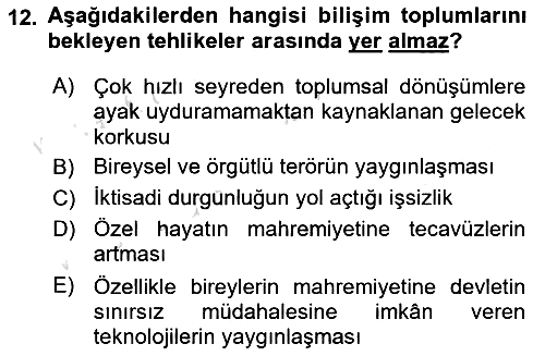 Sosyolojide Yakın Dönem Gelişmeler 2023-2024 Yaz Okulu Sınavı - 12. soru