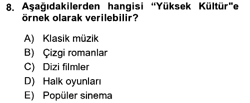 Sosyolojiye Giriş 2016-2017 3 Ders Sınavı - 8. soru