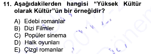 Sosyolojiye Giriş 2012-2013 Dönem Sonu Sınavı - 11. soru