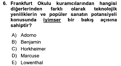 Sosyolojiye Giriş 2022-2023 Dönem Sonu Sınavı - 6. soru