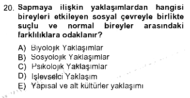 Sosyolojiye Giriş 2012-2013 Tek Ders Sınavı - 20. soru