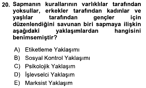 Sosyolojiye Giriş 2022-2023 Yaz Okulu Sınavı - 20. soru