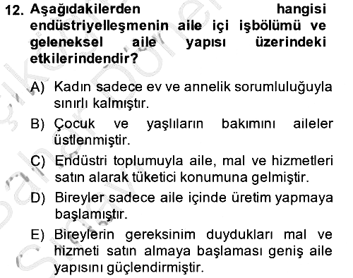 Suç Sosyolojisi 2014-2015 Ara Sınav - 12. soru