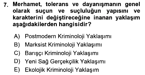 Suç Sosyolojisi 2025-2026 Ara Sınav - 7. soru