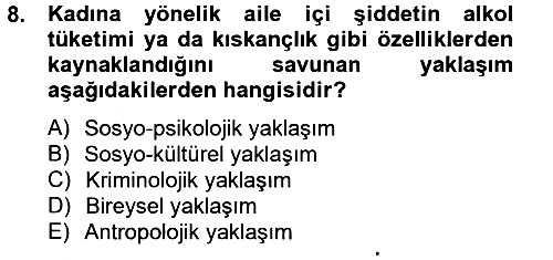 Suç Sosyolojisi 2012-2013 Dönem Sonu Sınavı - 8. soru