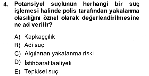 Suç Sosyolojisi 2013-2014 Dönem Sonu Sınavı - 4. soru